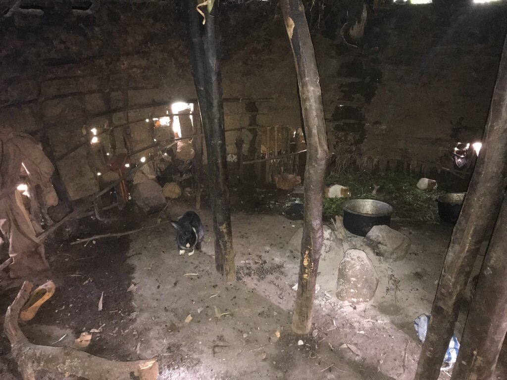 Urgent Action: Aid for the Eastern DR Congo Crisis