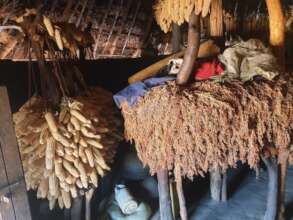 Food preservation - indoor drying in kitchen house