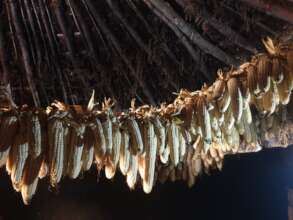 Food preservation - indoor drying in kitchen house