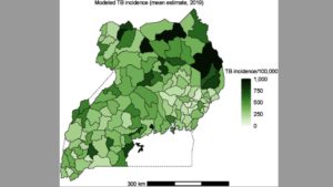 Prevalence of TB in Uganda