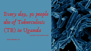 Tuberculosis silent killer disease can be stopped