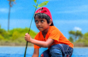 Restore Trees & Mangroves for a Greener Sri Lanka