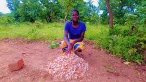 Pebbles for the rings foundation