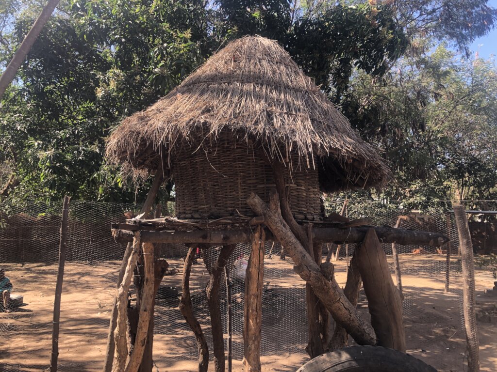 Teach Tiko 'survival package' to next generation