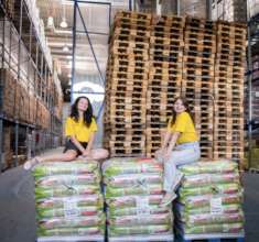 Before the missile attack