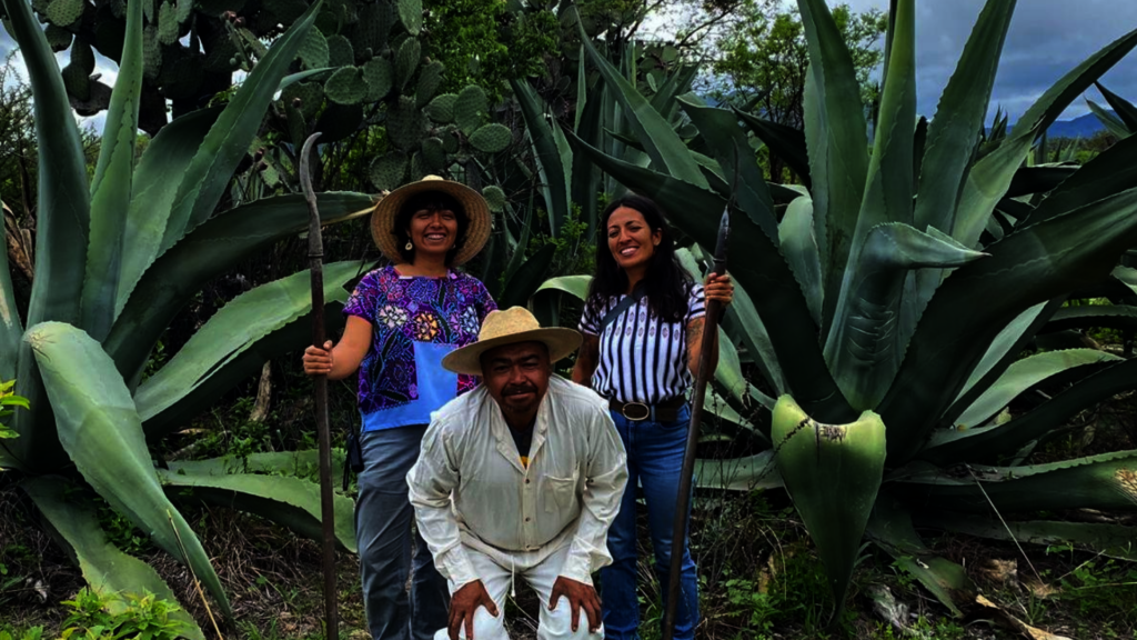 Greening the Desert: Agroforestry to Regenerate