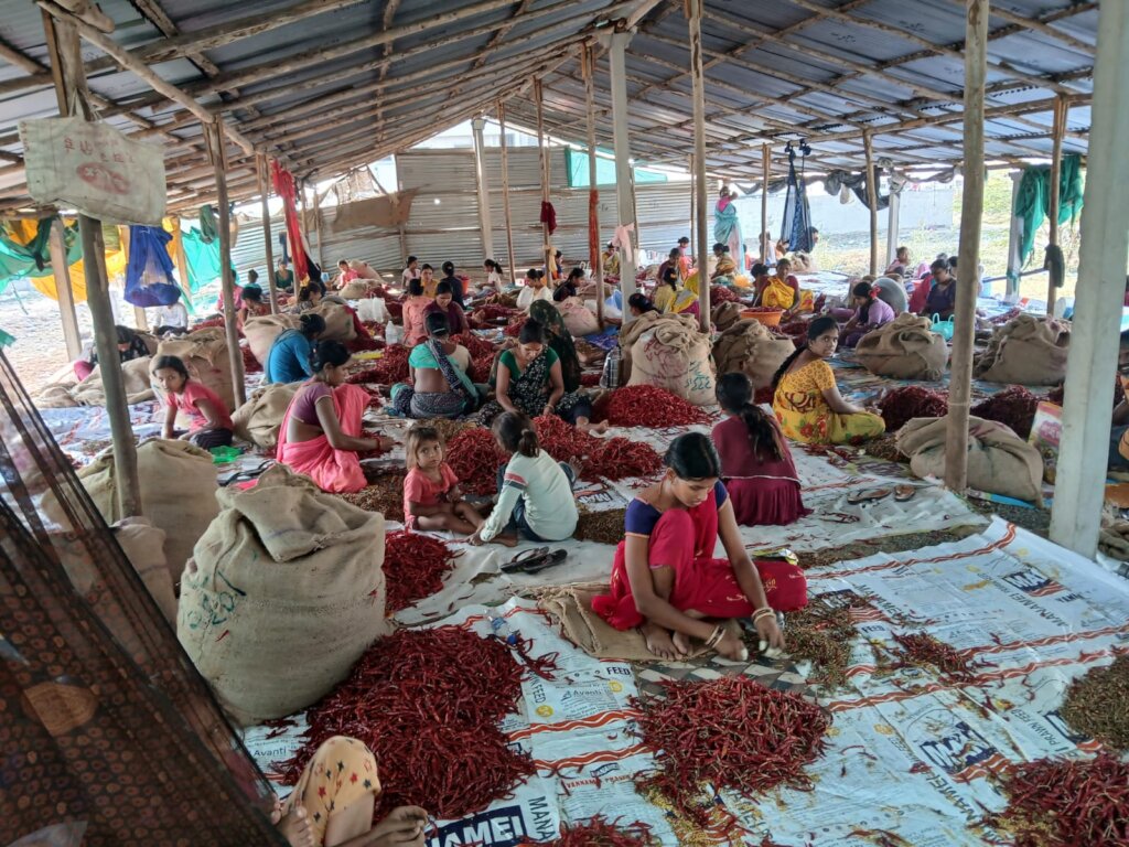 Chilli Workers' Childcare and Education - Guntur