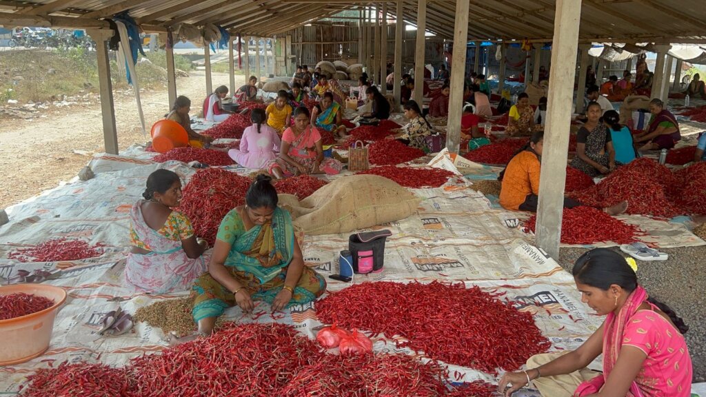 Chilli Workers' Childcare and Education - Guntur