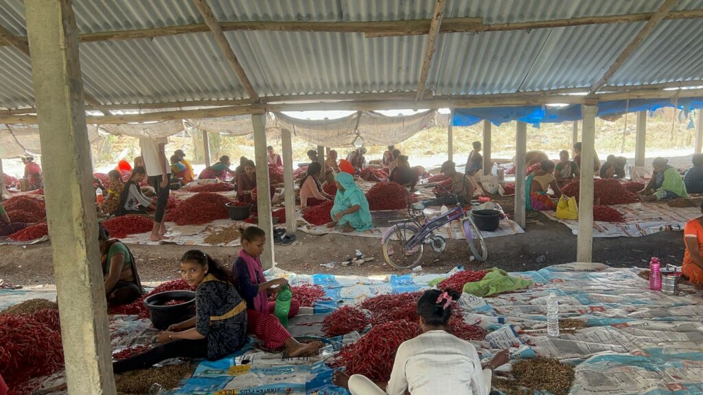 Chilli Workers' Childcare and Education - Guntur