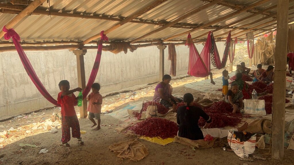 Chilli Workers' Childcare and Education - Guntur