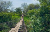 Deadly footbridge 3,000 cross each day in Zambia