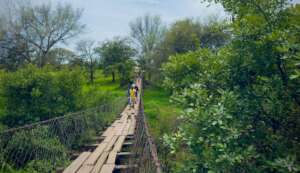 Deadly footbridge 3,000 cross each day in Zambia