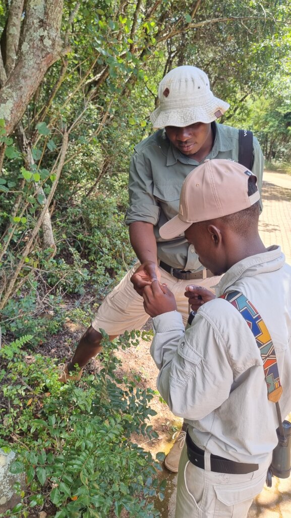 Raise a Generation of Wildlife Conservationists