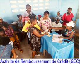 Savings and Credit Group Activities