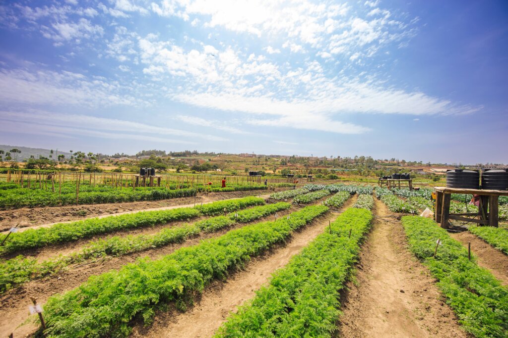 Help Free 100,000 Rwandans from Poverty - for life