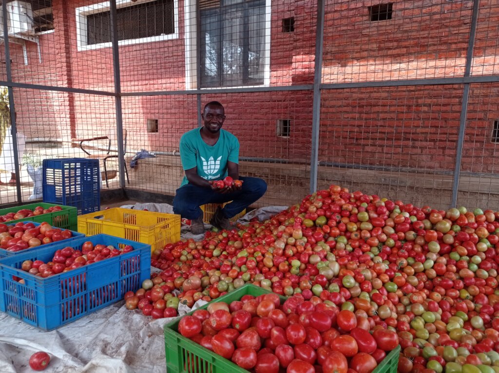 Help Free 100,000 Rwandans from Poverty - for life