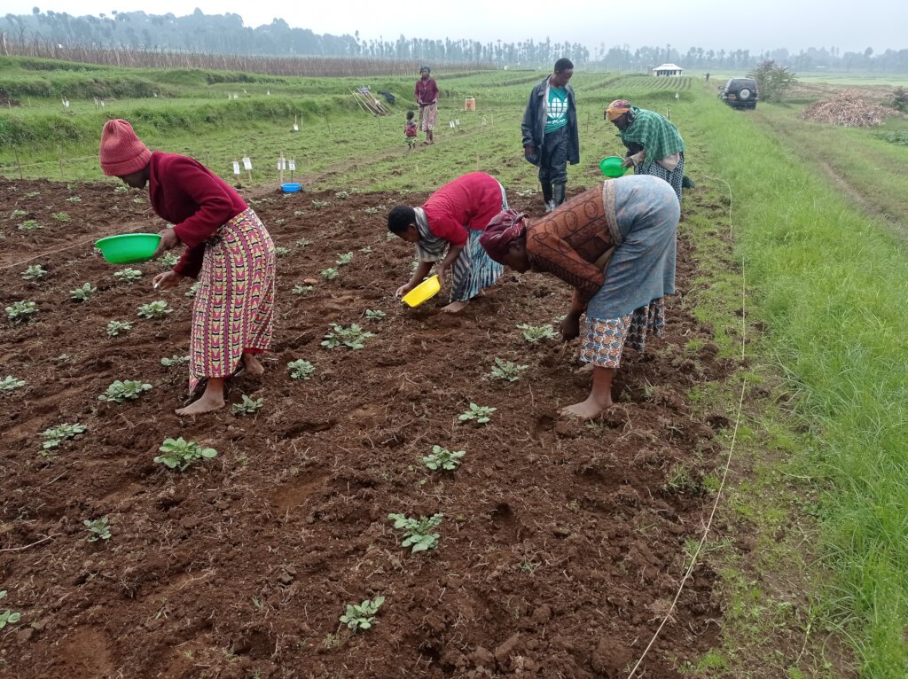 Help Free 100,000 Rwandans from Poverty - for life