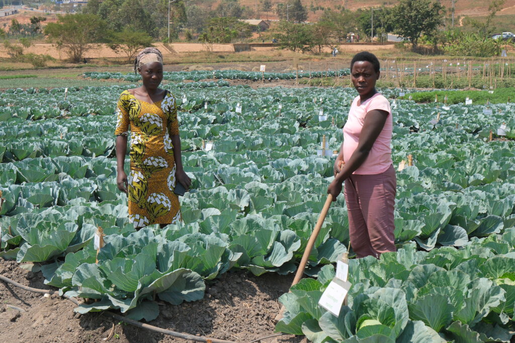 Help Free 100,000 Rwandans from Poverty - for life