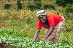 Micheline in her field