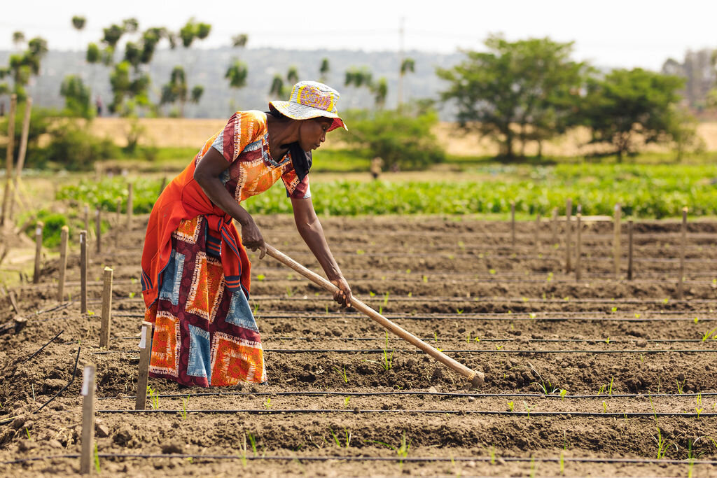 Help Free 100,000 Rwandans from Poverty - for life