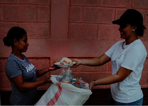 Purchase of land for recycling factory