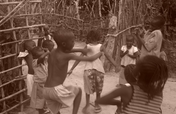 Educate over 500 orphan children in Gambia   