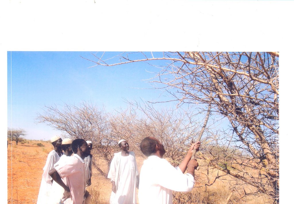 Community members participate in a field training.