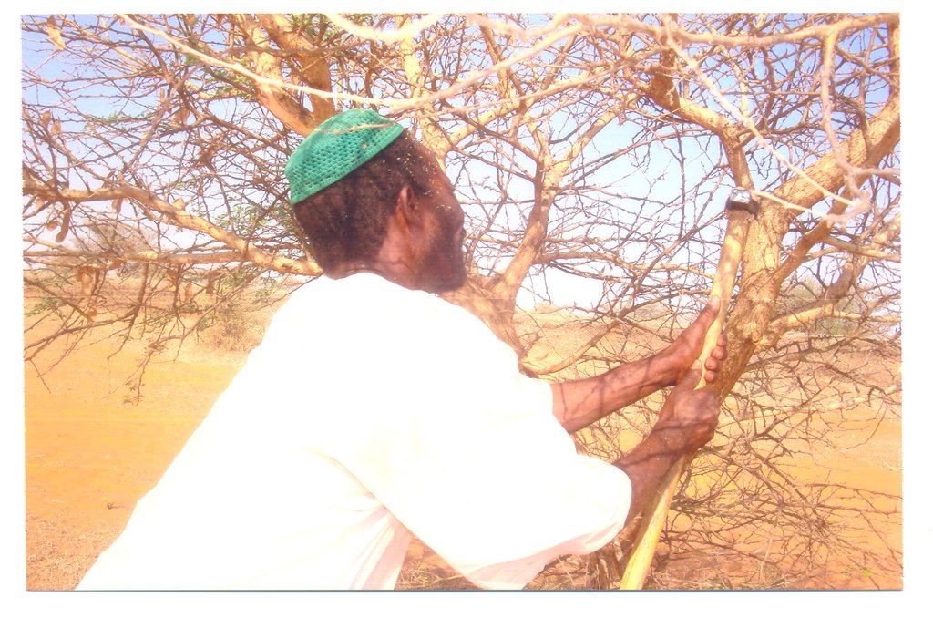 Reports On Support Farmers And Fight Poverty In Sudan