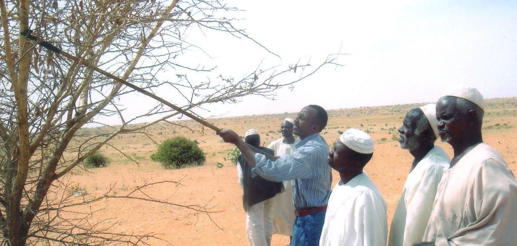 Support farmers and fight poverty in Sudan