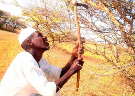 Support farmers and fight poverty in Sudan