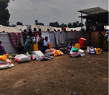 Empowering Indigenous Peoples in the DRC