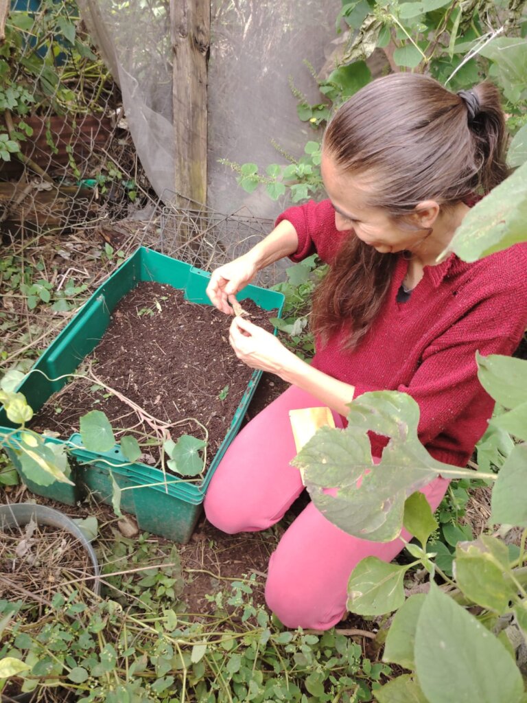 Oaxacan Families improving their food sovereignty
