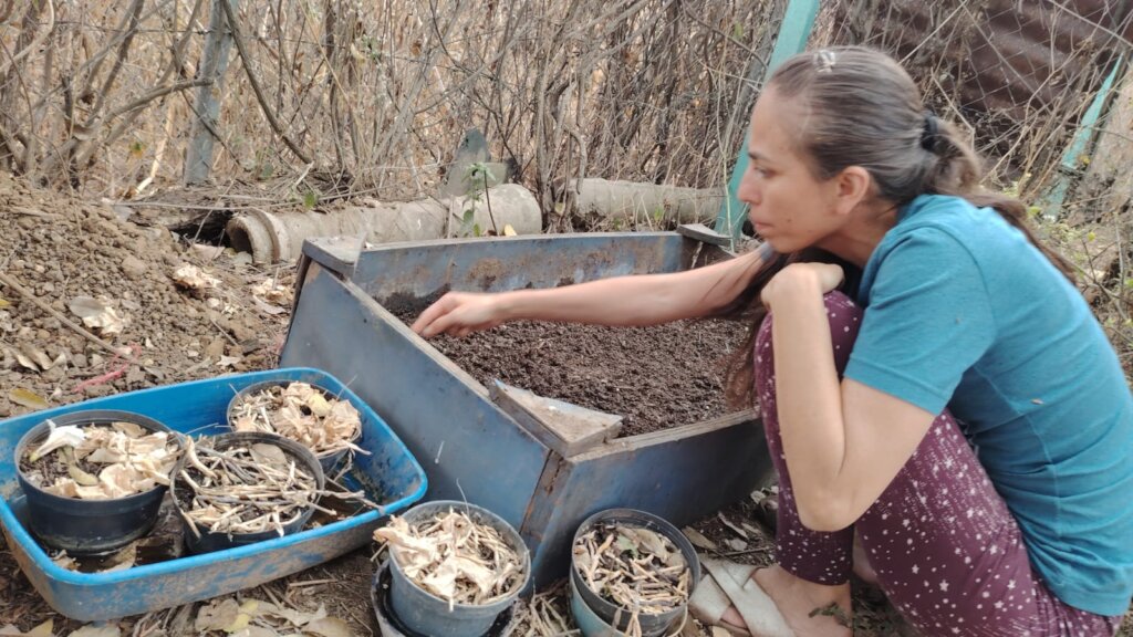 Oaxacan Families improving their food sovereignty