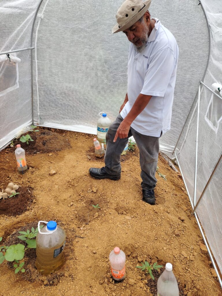 Oaxacan Families improving their food sovereignty