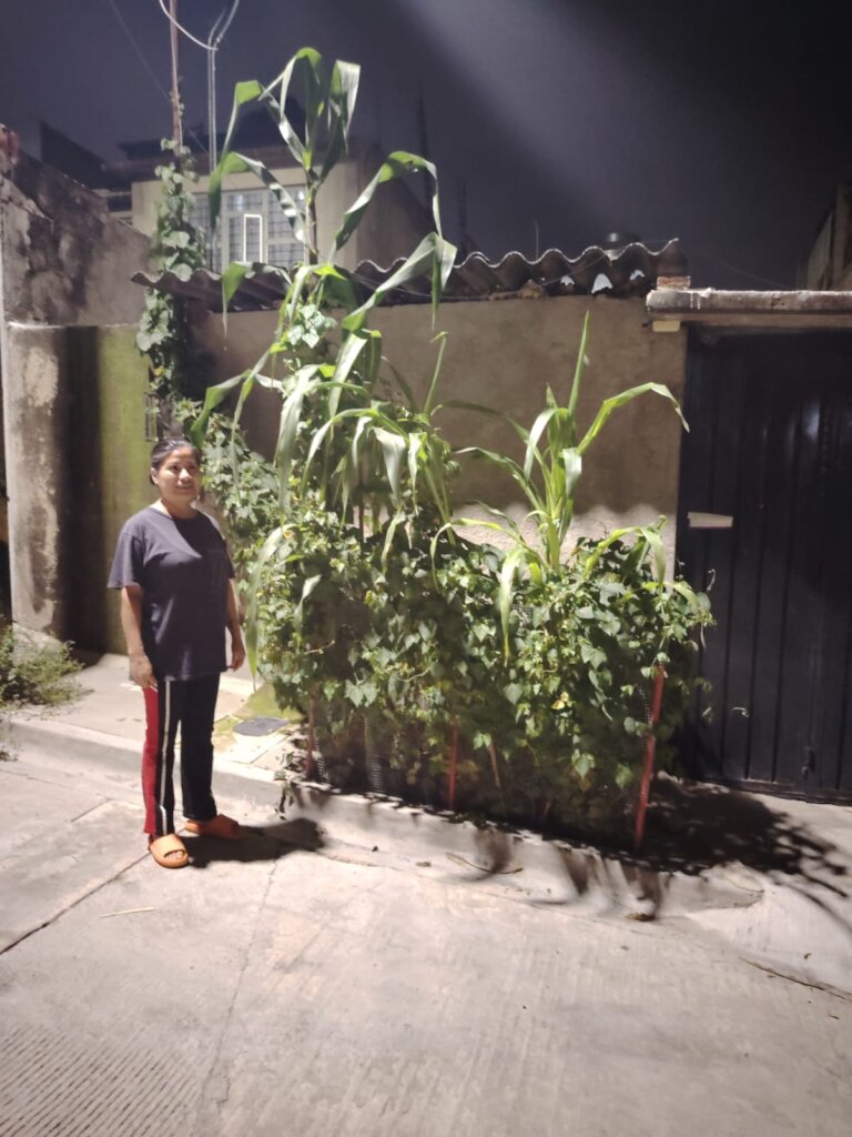 Oaxacan Families improving their food sovereignty
