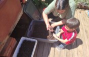 Oaxacan Families improving their food sovereignty