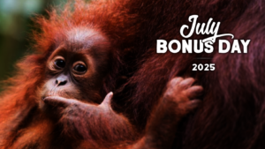 An orangutan infant in it's mothers arms