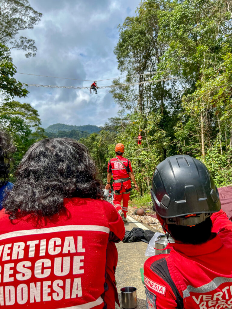 Reconnecting Orangutans and Their Rainforest Homes