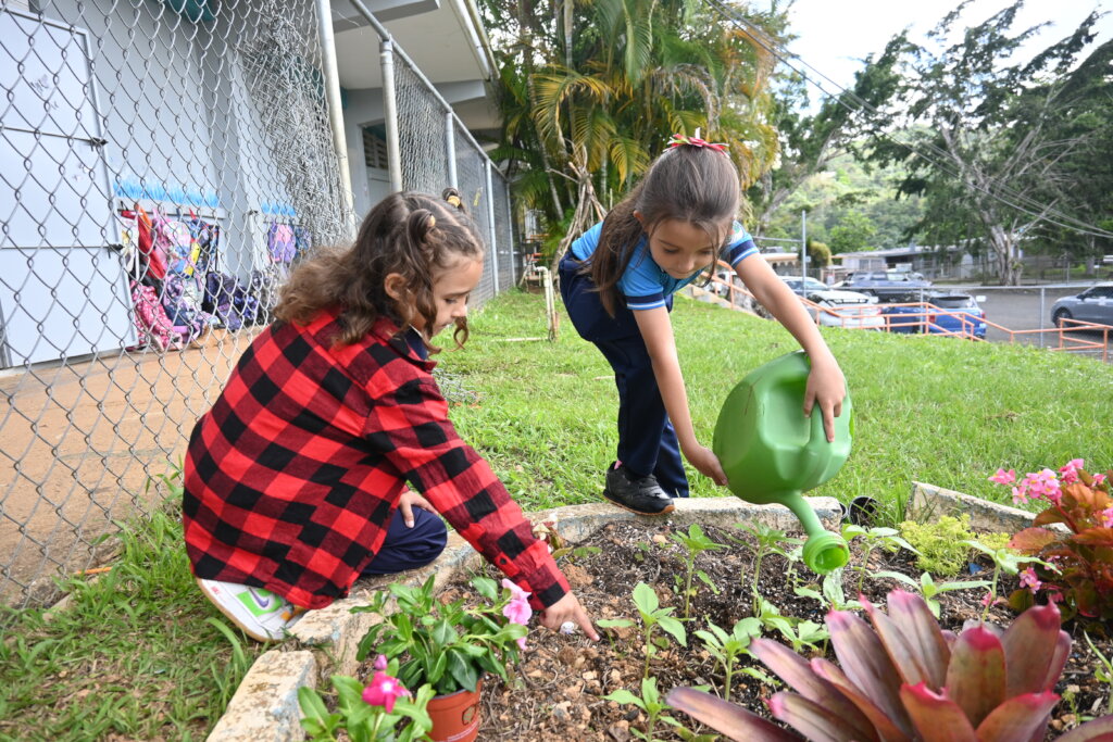Educate Communities in Puerto Rico Today