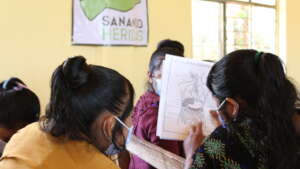Training cycle with health promoters