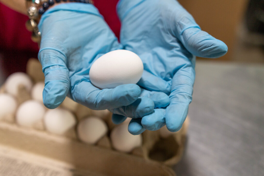 Scrambling for Good: 1,137 eggstra dozen eggs