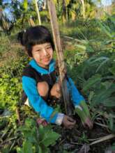 Go Green Activity
