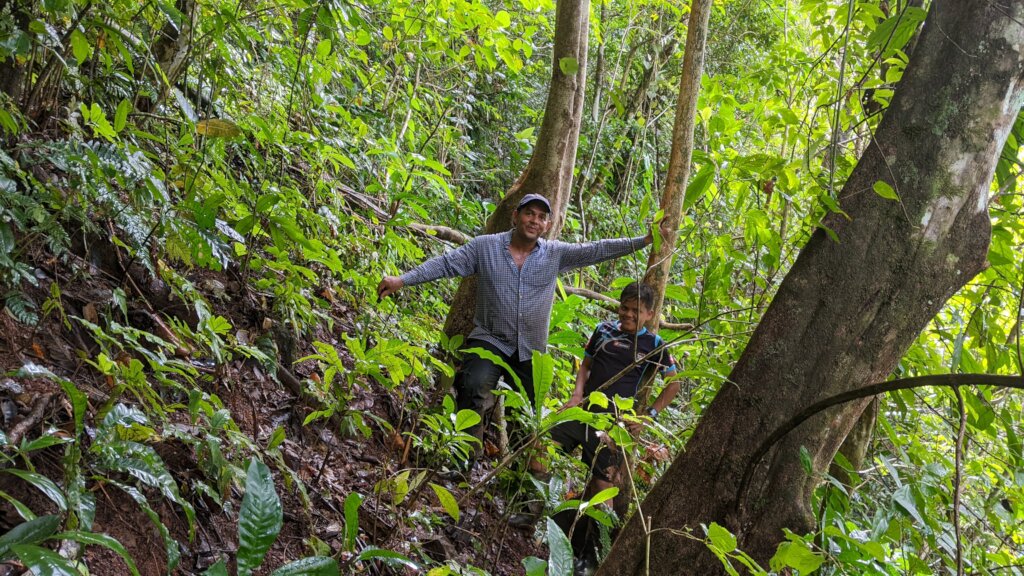 Panama rainforest stewardship & land purchase