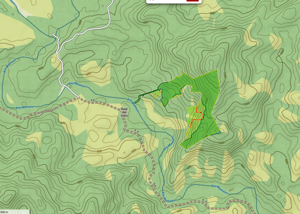 Panama rainforest stewardship & land purchase