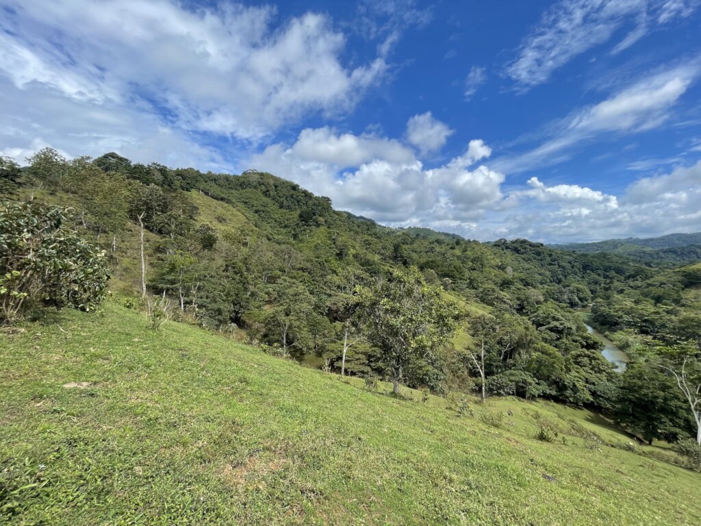 Panama rainforest stewardship & land purchase