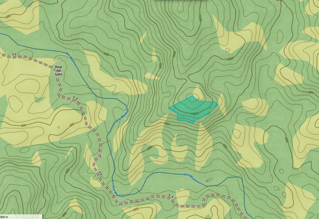 Panama rainforest stewardship & land purchase