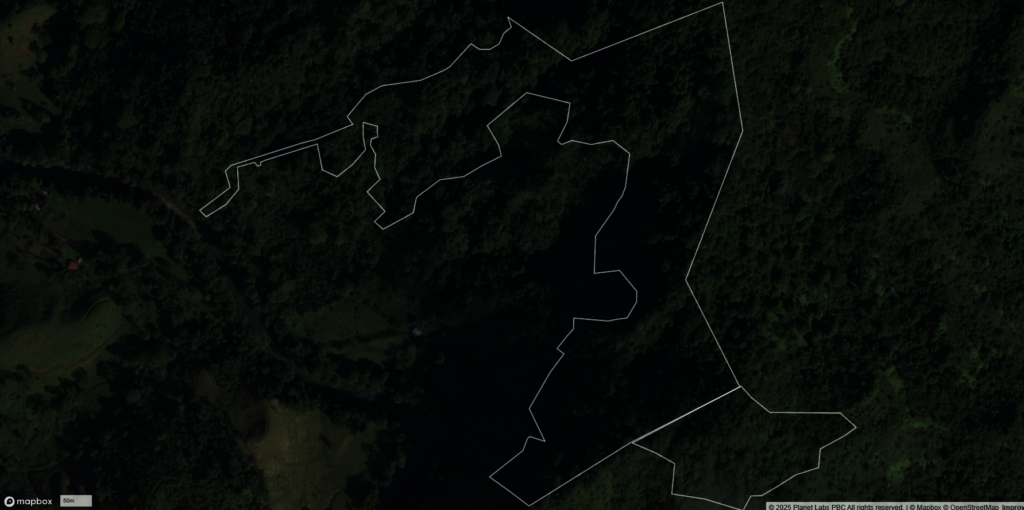 Panama rainforest stewardship & land purchase