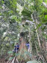 Raquel family plot site visit, 2023