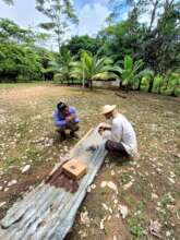 Panama rainforest stewardship & land purchase