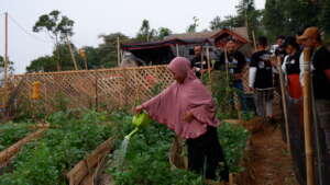A single mother watered plants in her home garden.